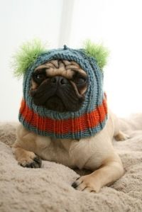 487efb3ca6c7cd7b1762a18ab632e472