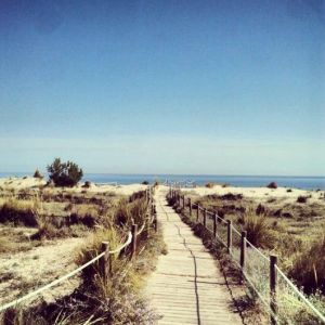 6c67daadbd8f0f8ea75061c54bee405e