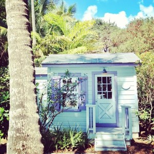 ec80b69f3f33a0b541f382af7a36e0af